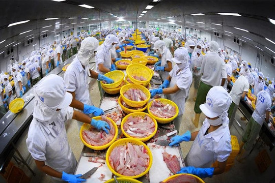 Thủy sản Việt Nam trong Logistics toàn cầu