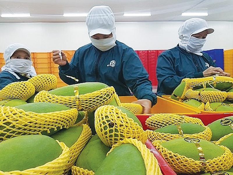 Xe hàng ùn tắc giảm, doanh nghiệp đang thay đổi cách giao thương